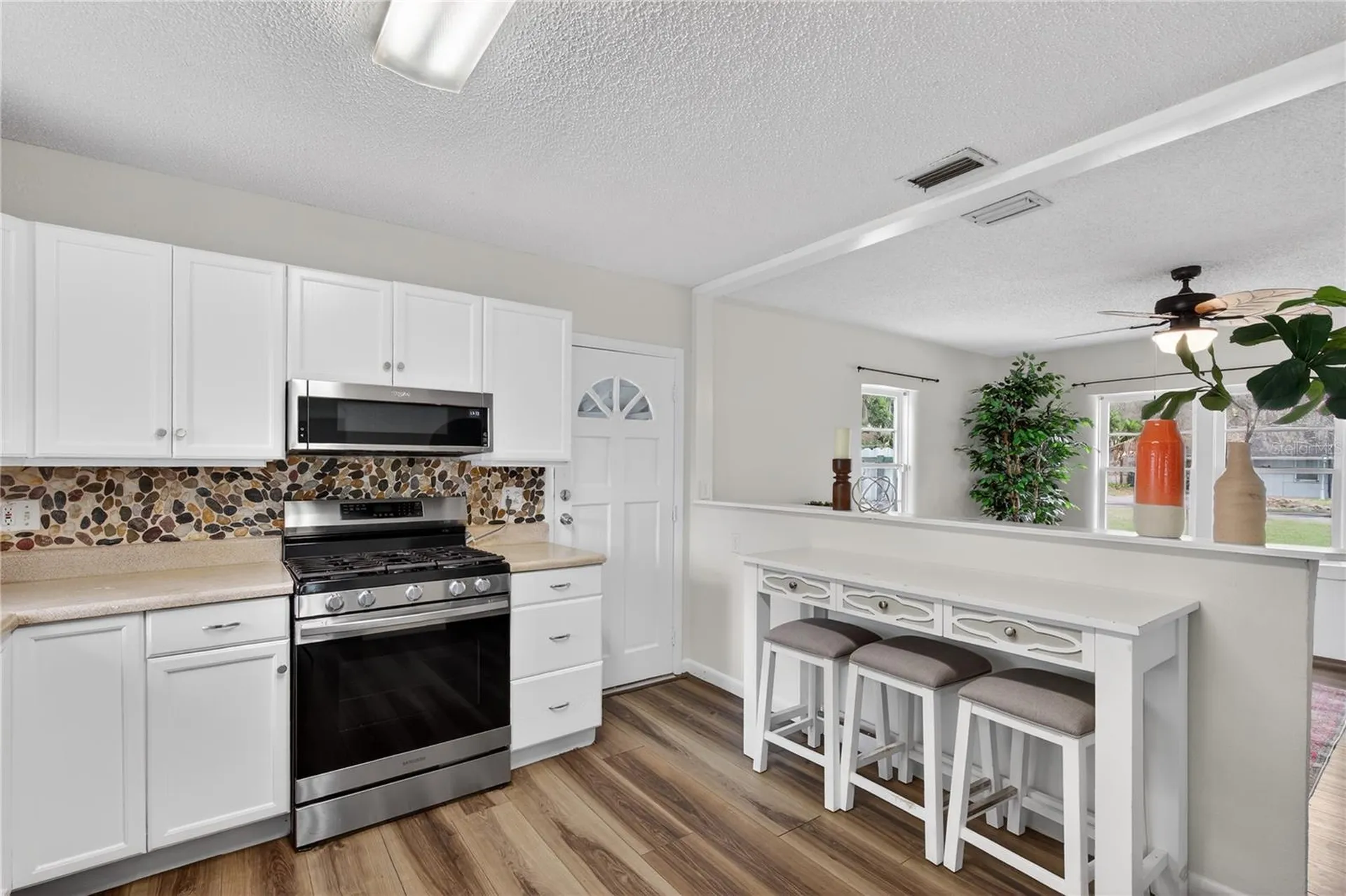 521 Michigan Street Mount Dora FL 32757