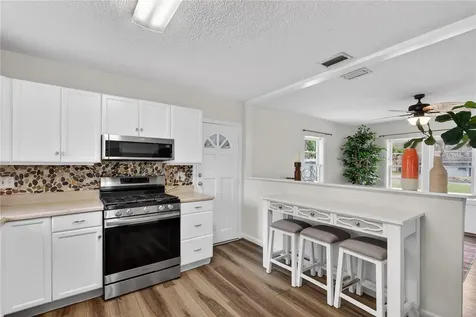 521 Michigan Street Mount Dora FL 32757