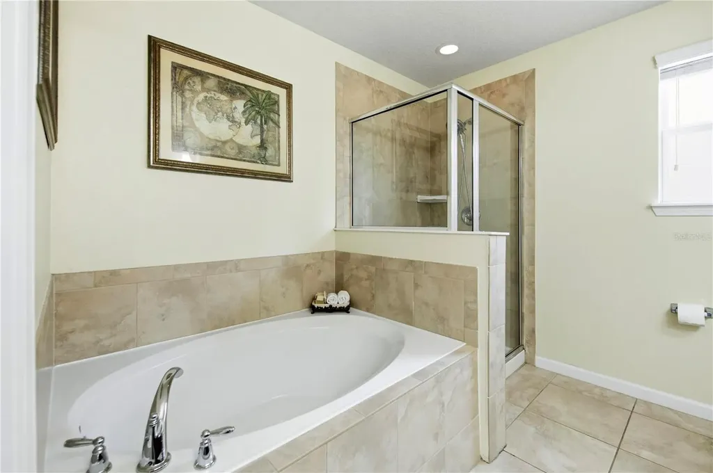 30106 Cheval Street Mount Dora FL 32757