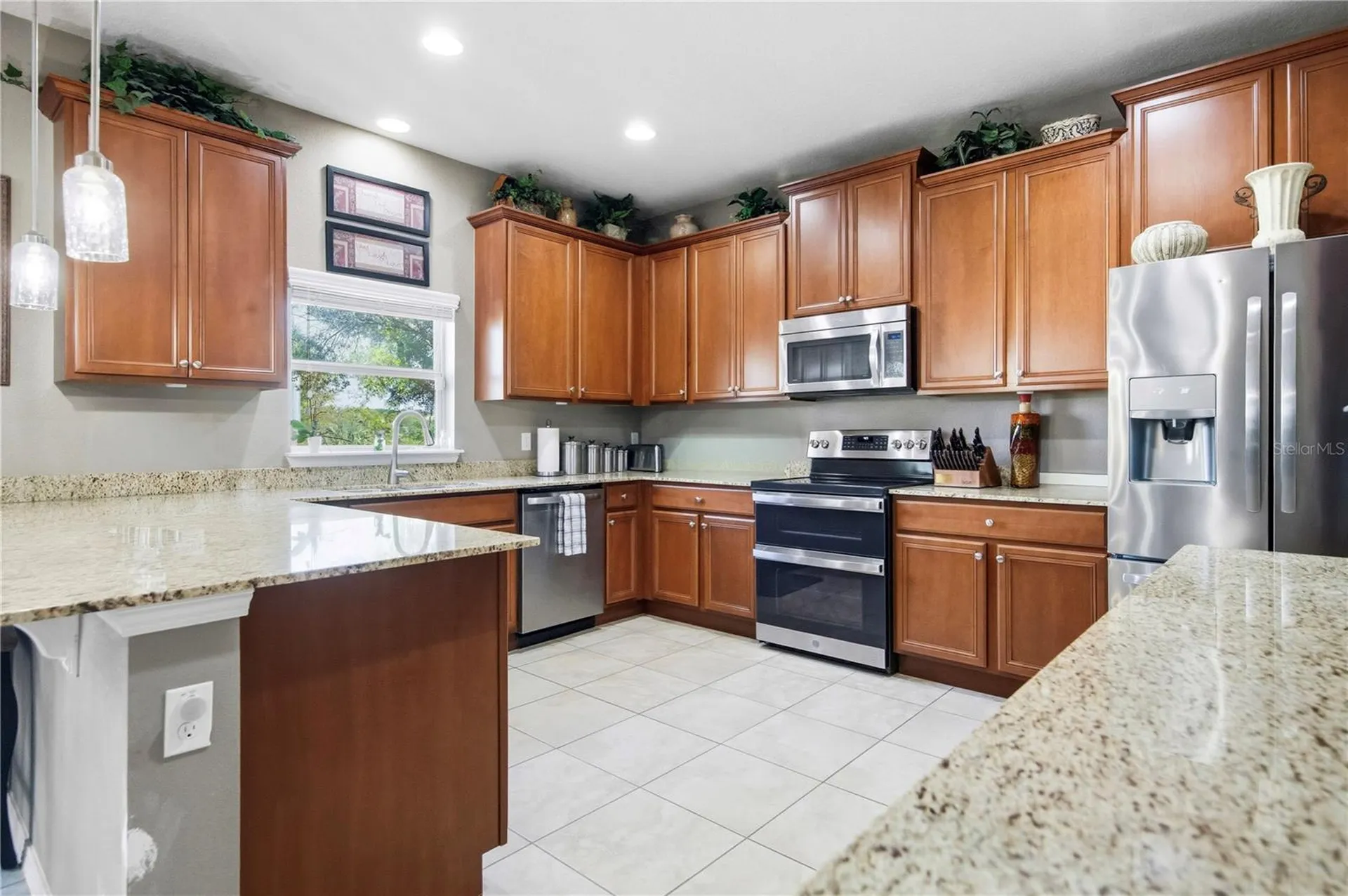 30106 Cheval Street Mount Dora FL 32757