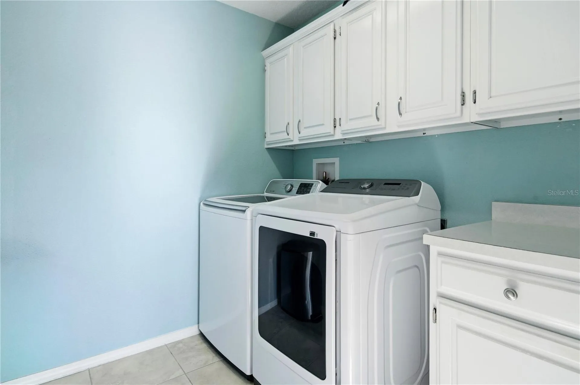 30106 Cheval Street Mount Dora FL 32757