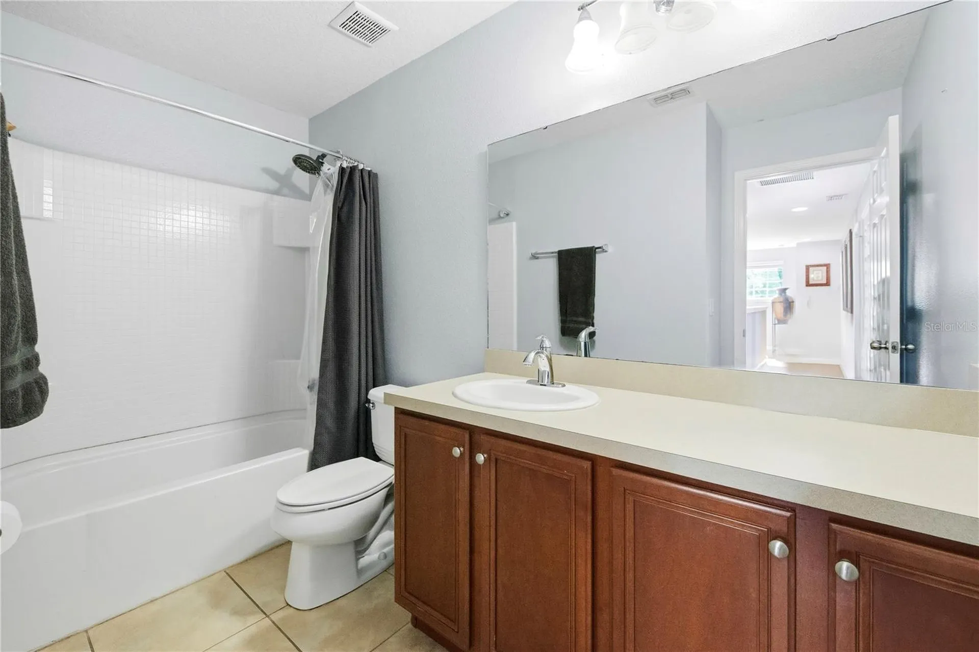 30106 Cheval Street Mount Dora FL 32757