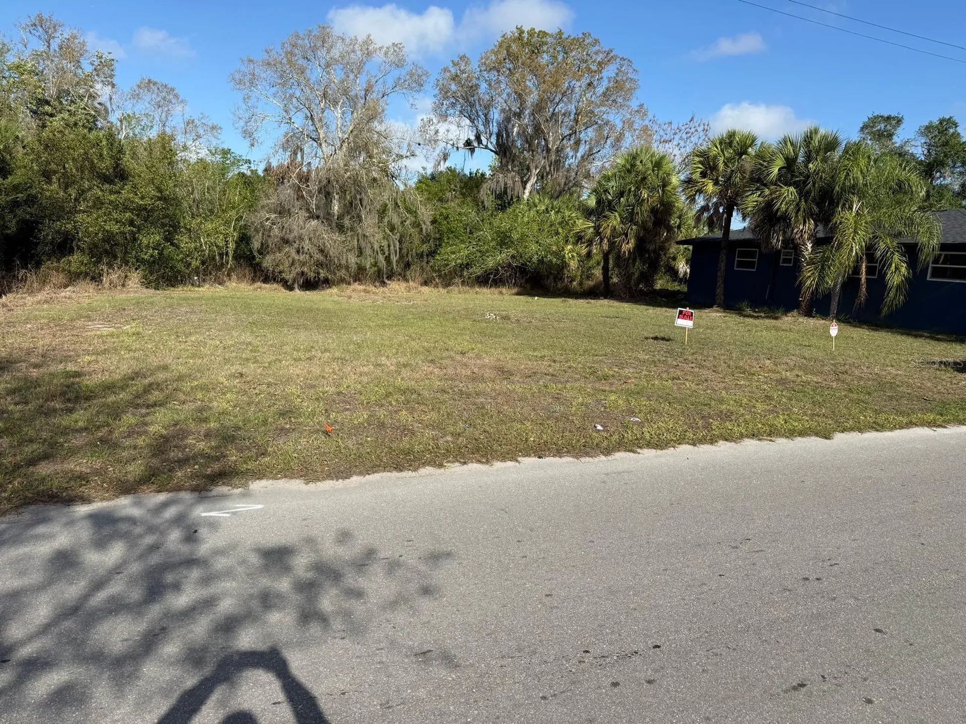 228 Singleton Avenue Arcadia FL 34266
