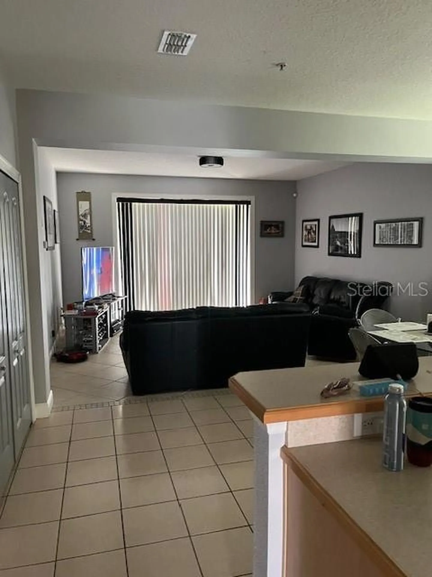 9721 Old Patina Way Orlando FL 32832