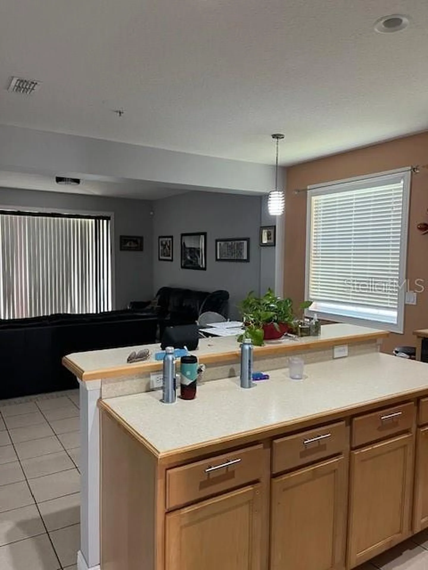 9721 Old Patina Way Orlando FL 32832