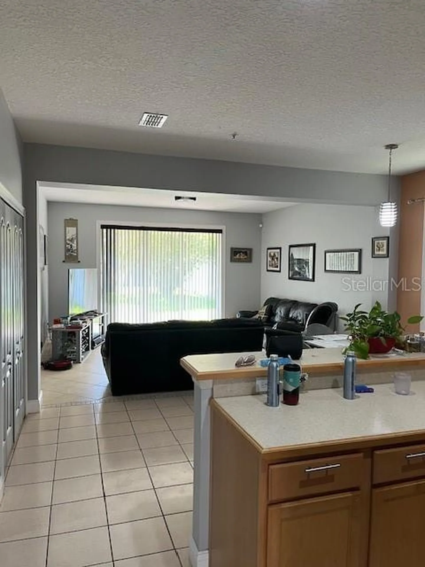 9721 Old Patina Way Orlando FL 32832
