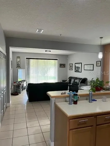 9721 Old Patina Way Orlando FL 32832