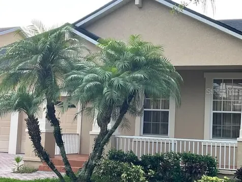 9721 Old Patina Way Orlando FL 32832