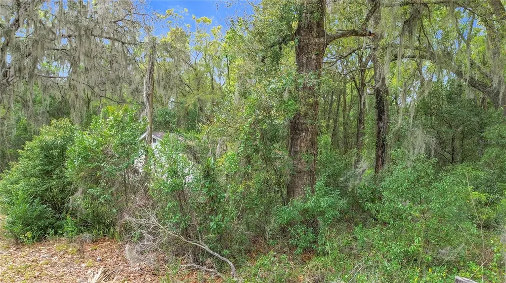 10160 SE 49th Court Belleview FL 34420