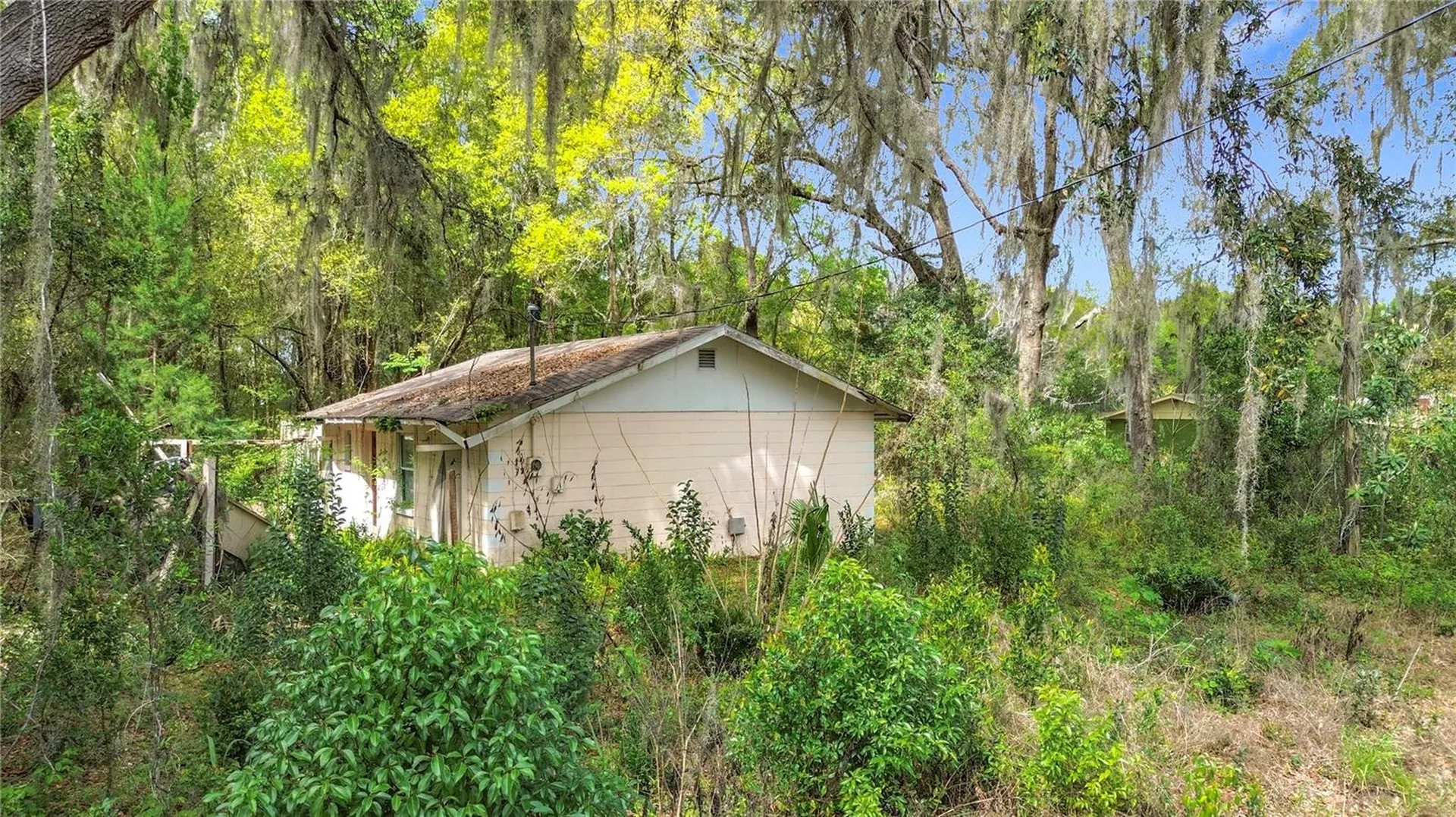 10160 SE 49th Court Belleview FL 34420