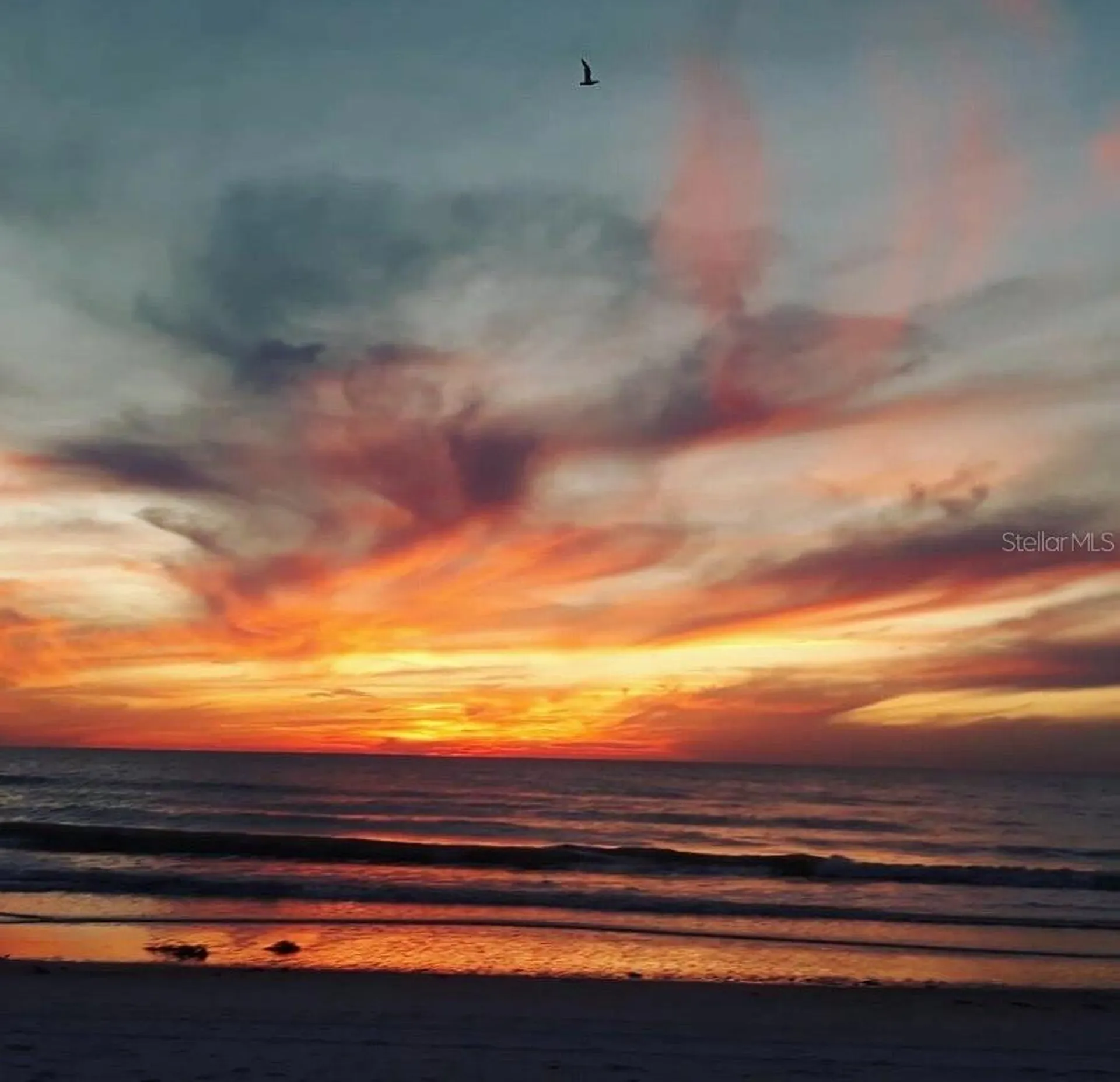 200 N Betty Lane Clearwater FL 33755