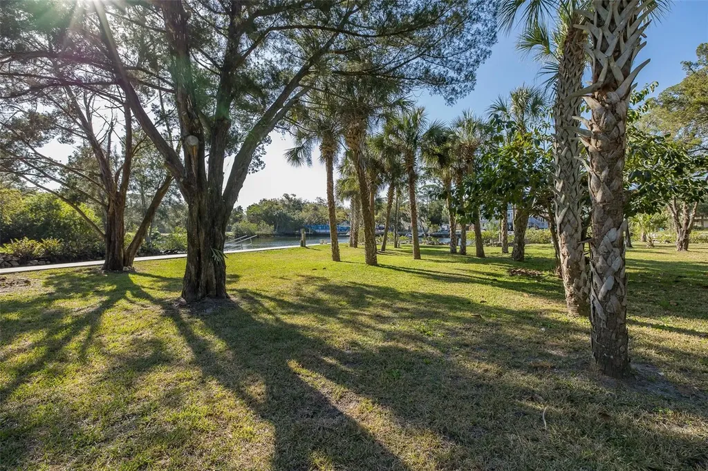 14616 Blessing Lane Hudson FL 34667