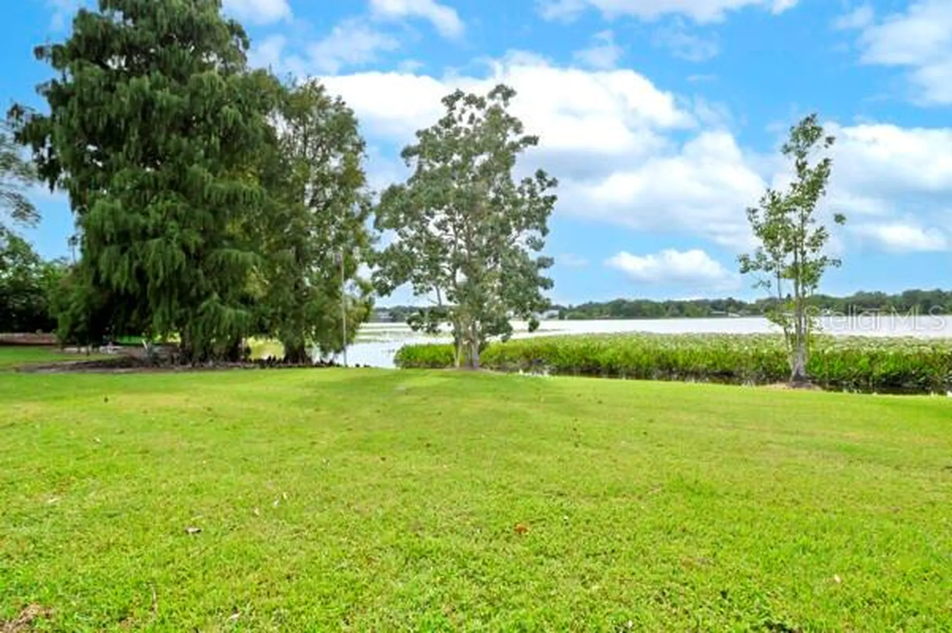 1502 NE Buckeye Road NE Winter Haven FL 33881