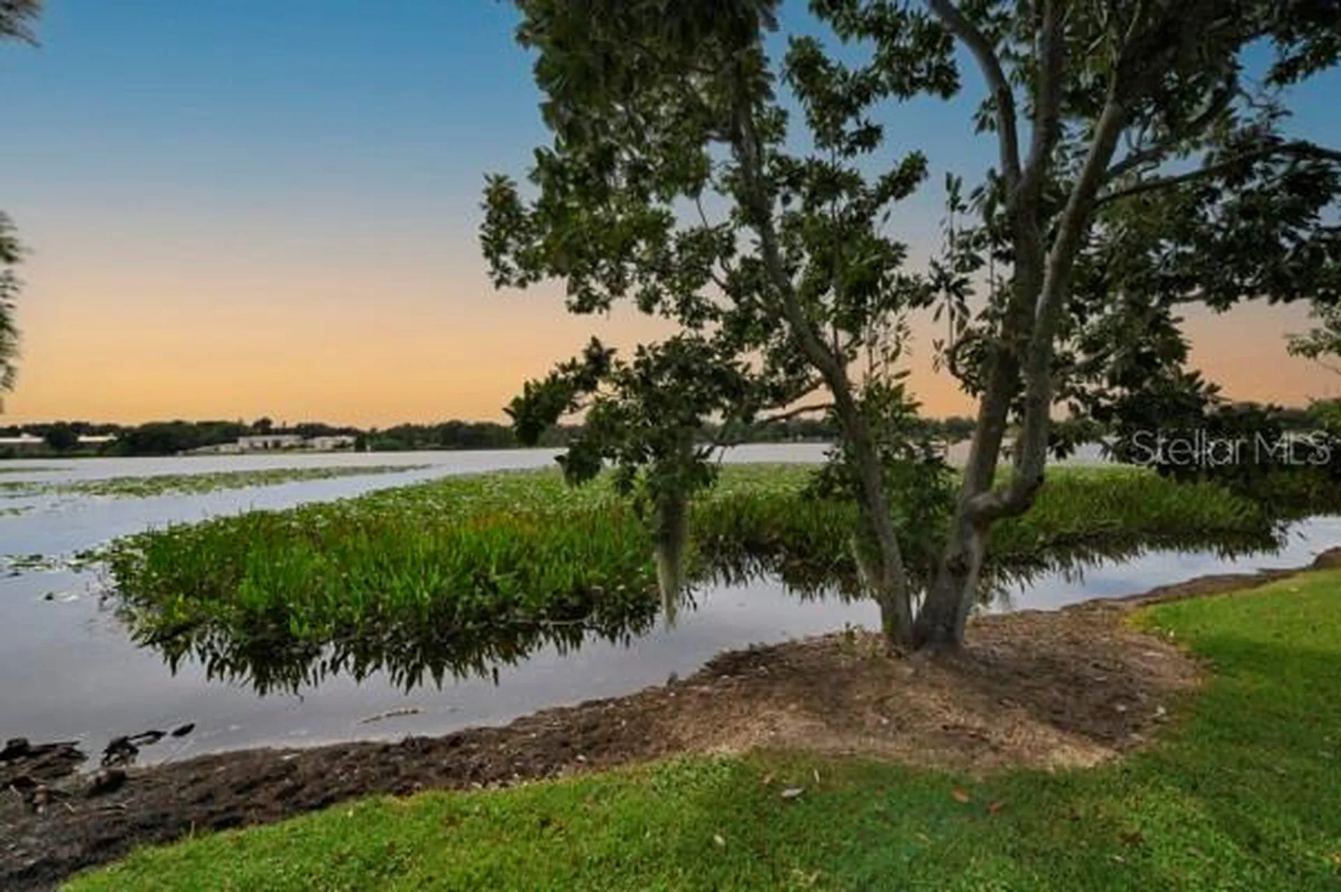 1502 NE Buckeye Road NE Winter Haven FL 33881