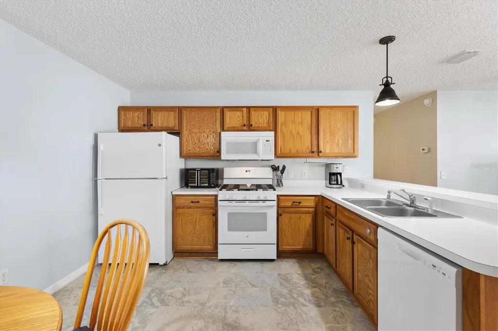17470 SE 93rd Vine Avenue The Villages FL 32162