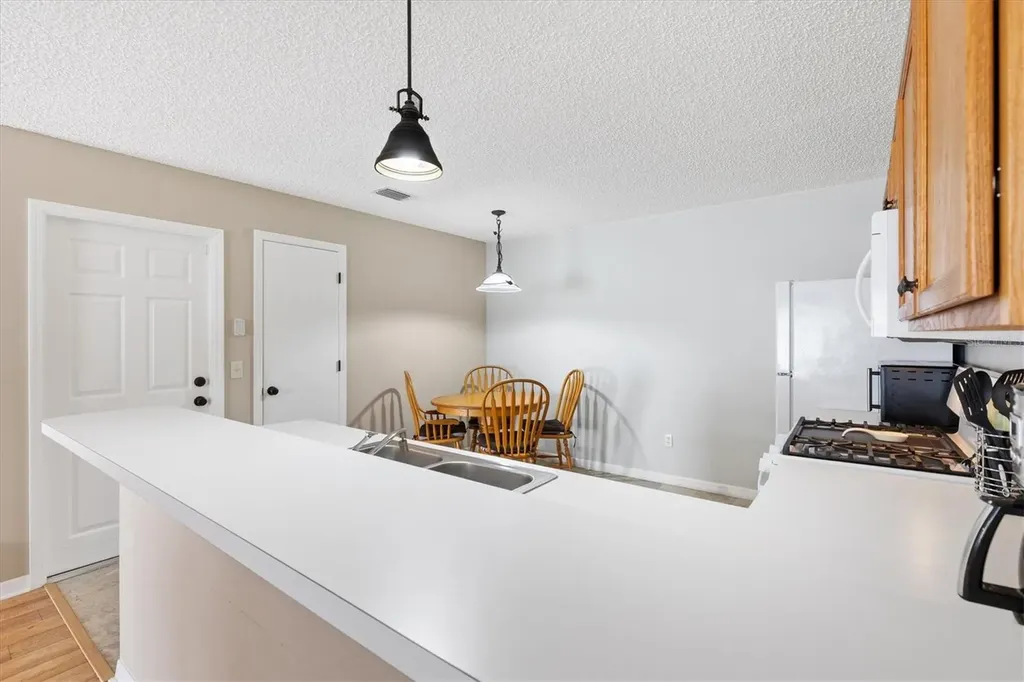 17470 SE 93rd Vine Avenue The Villages FL 32162