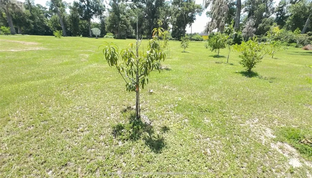 4925 N Us Highway 441 Ocala FL 34475