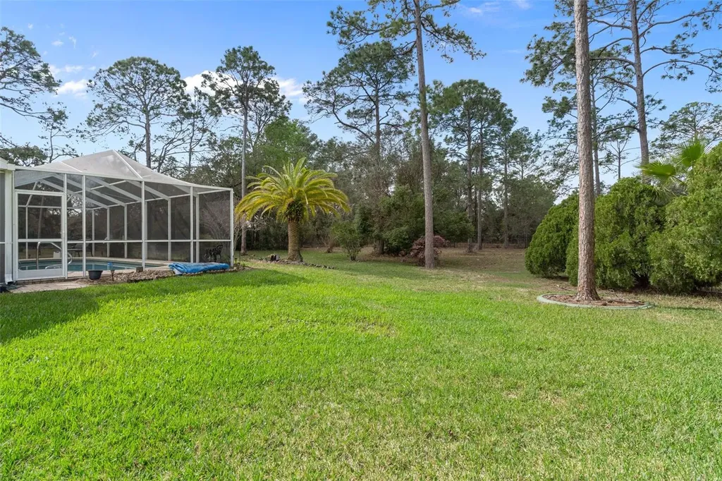 7348 Clearmeadow Drive Spring Hill FL 34606