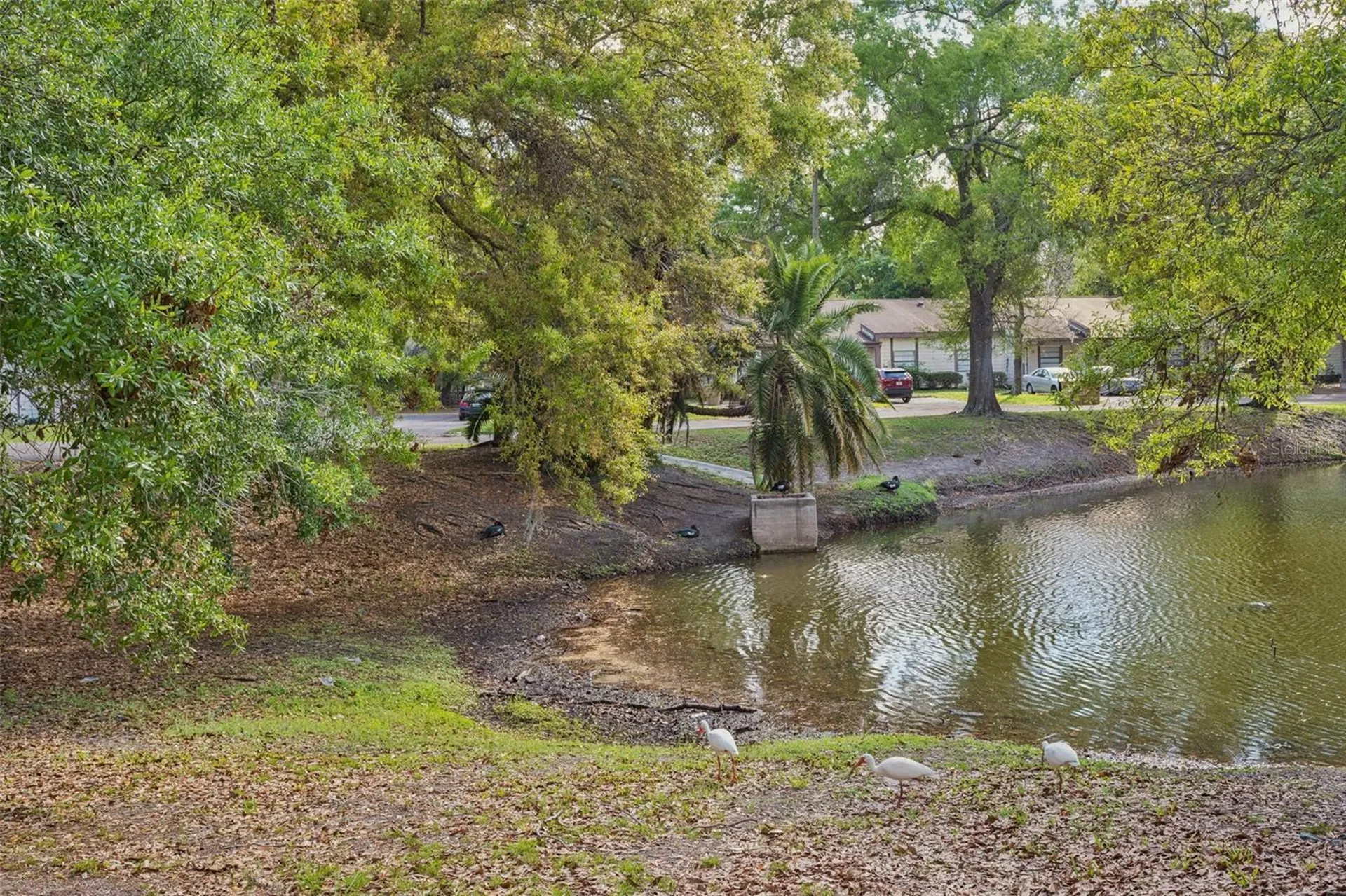 10307 Councils Way Temple Terrace FL 33617