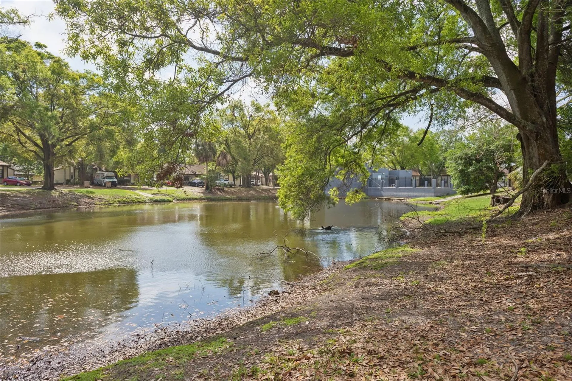 10307 Councils Way Temple Terrace FL 33617
