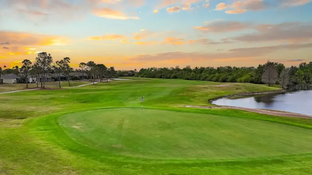 1103 Jasmine Creek Court Sun City Center FL 33573