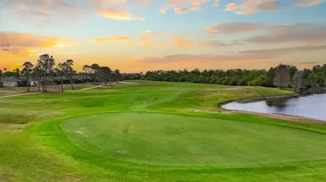 1103 Jasmine Creek Court Sun City Center FL 33573