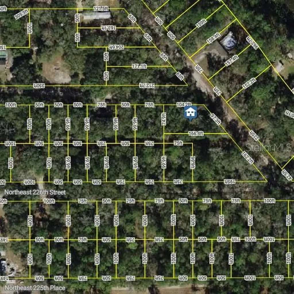 0 NE 227th Street Fort Mc Coy FL 32134