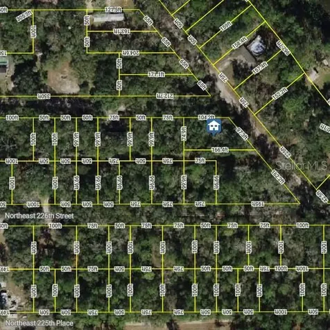 0 NE 227th Street Fort Mc Coy FL 32134