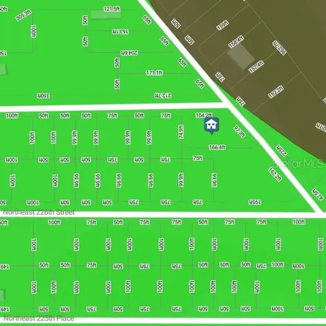 0 NE 227th Street Fort Mc Coy FL 32134