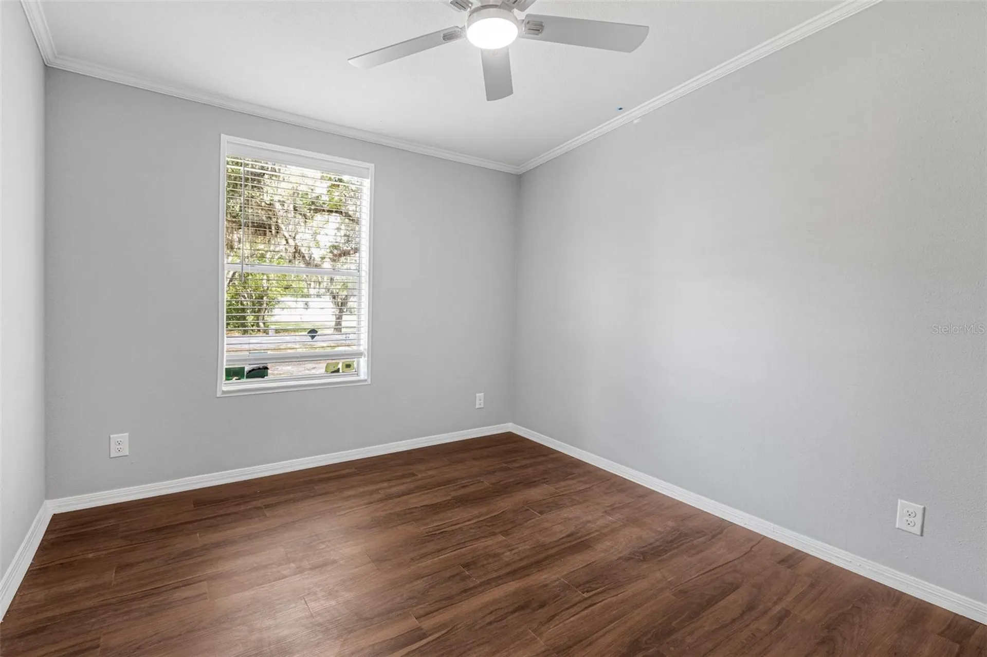 7706 23rd Street Zephyrhills FL 33540