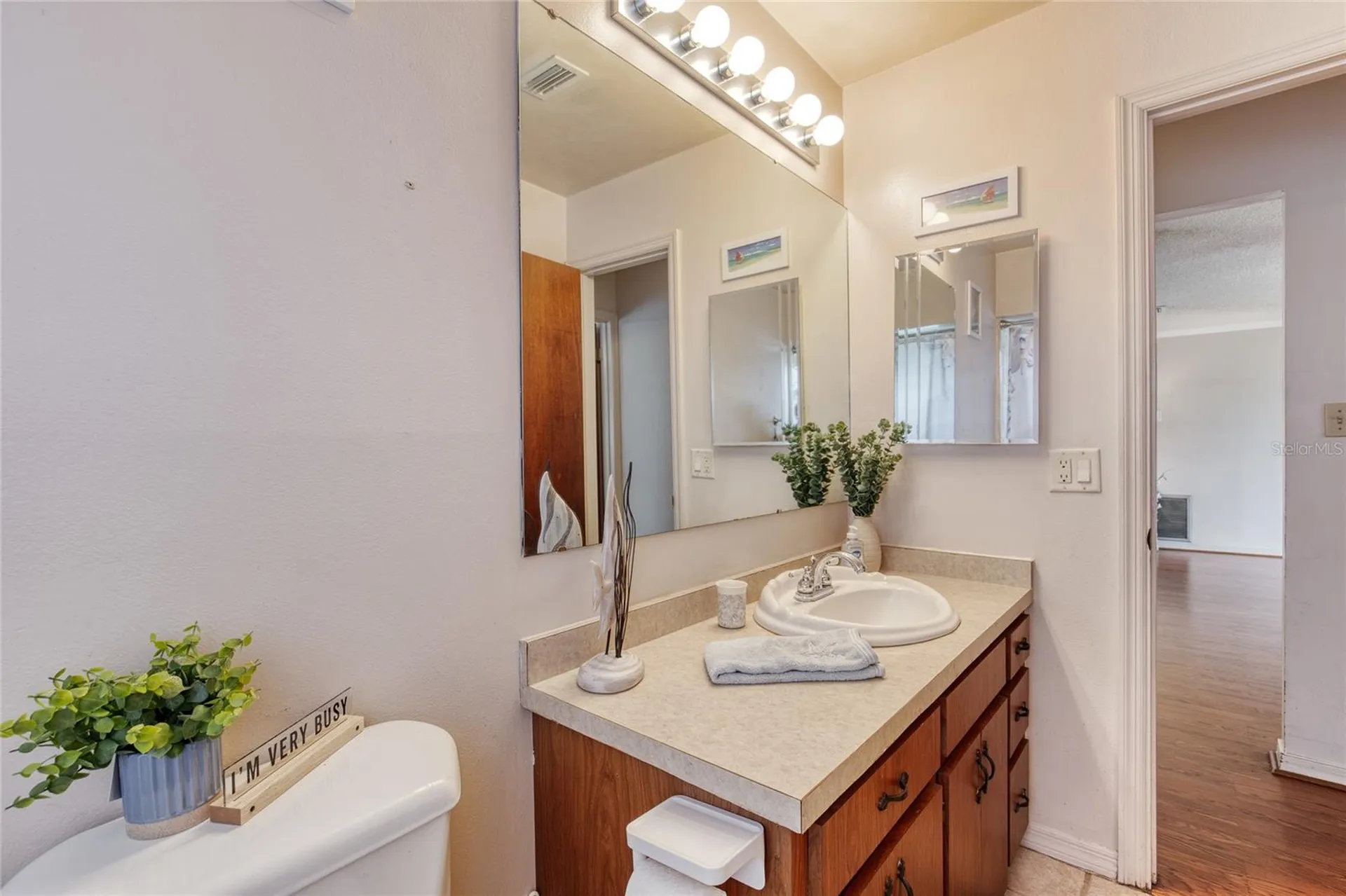 27727 Lois Drive Tavares FL 32778