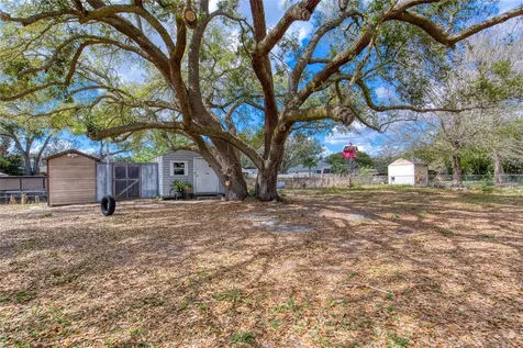 27727 Lois Drive Tavares FL 32778