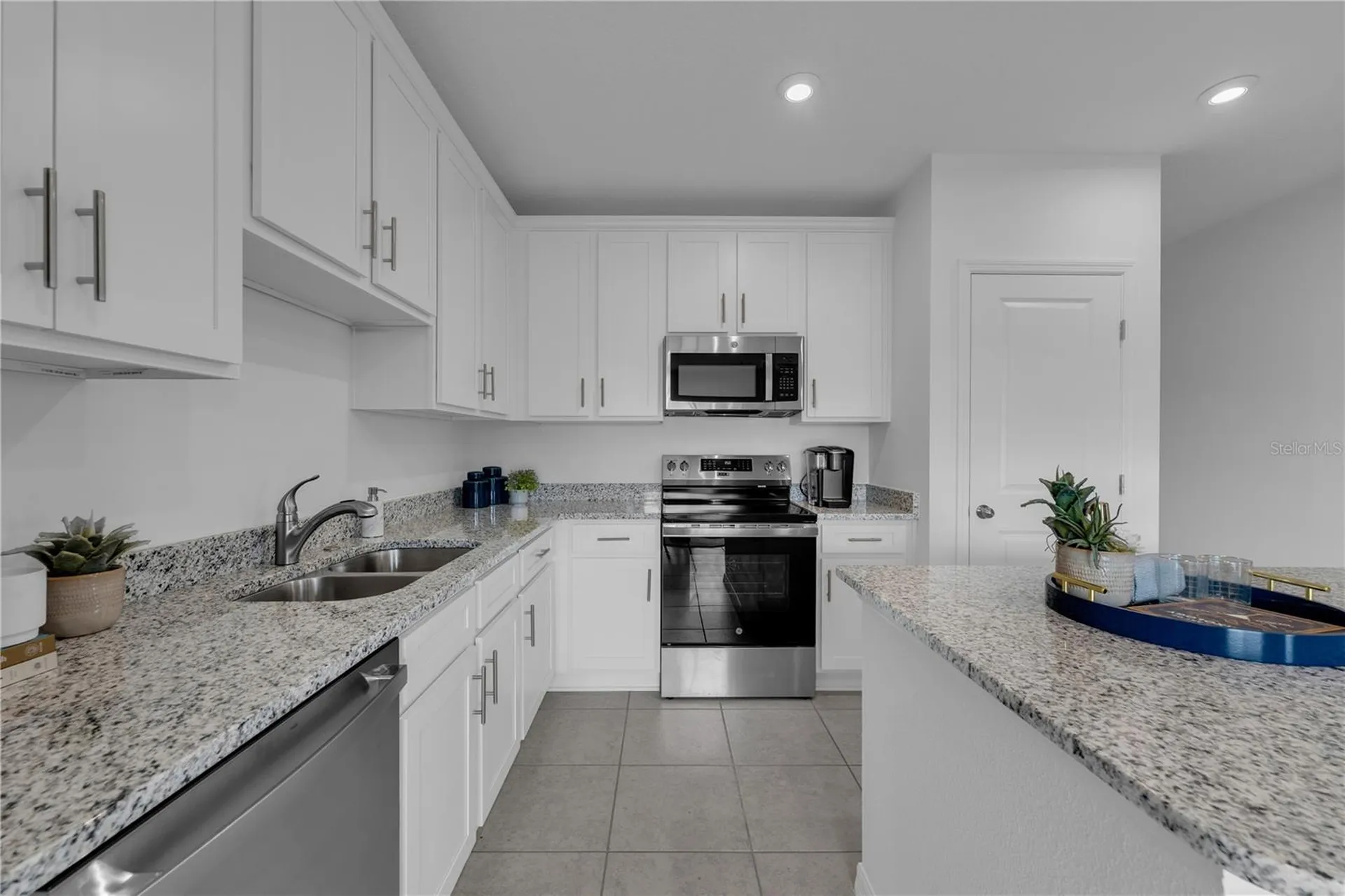 3000 Jessamine Drive Tavares FL 32778
