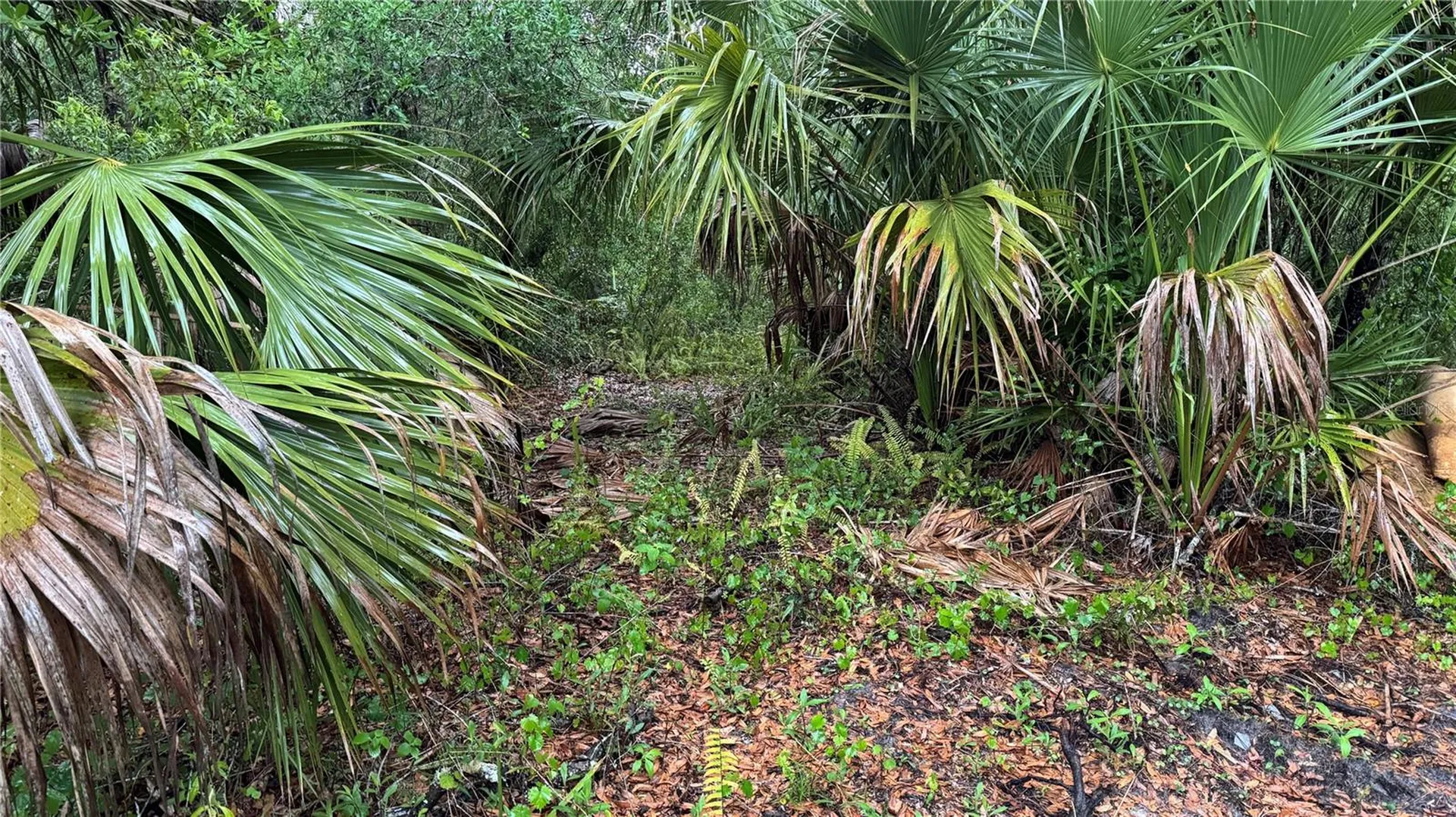12817 Upper Manatee River Road Bradenton FL 34212