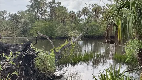 12817 Upper Manatee River Road Bradenton FL 34212