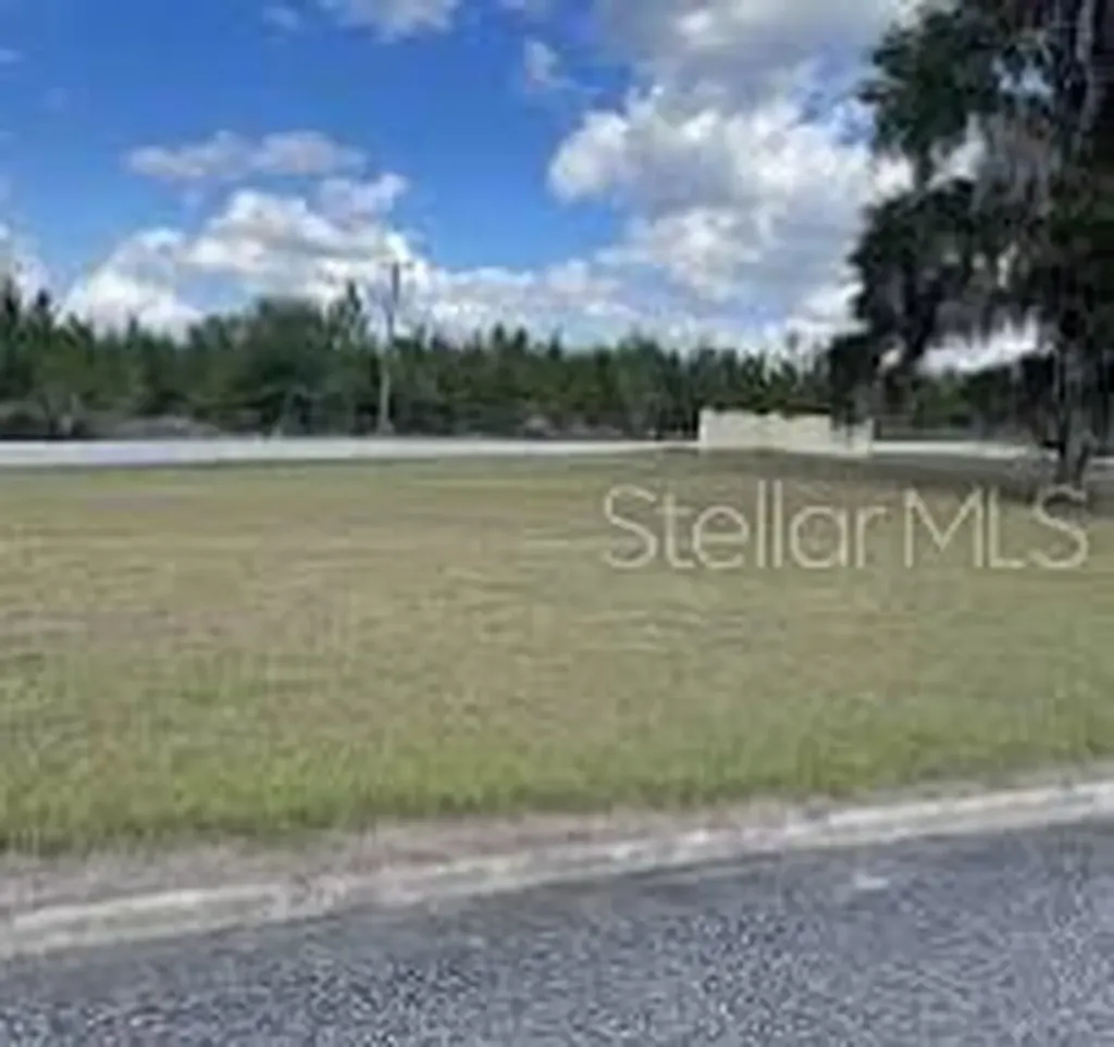 100 Siesta Circle Welaka FL 32193