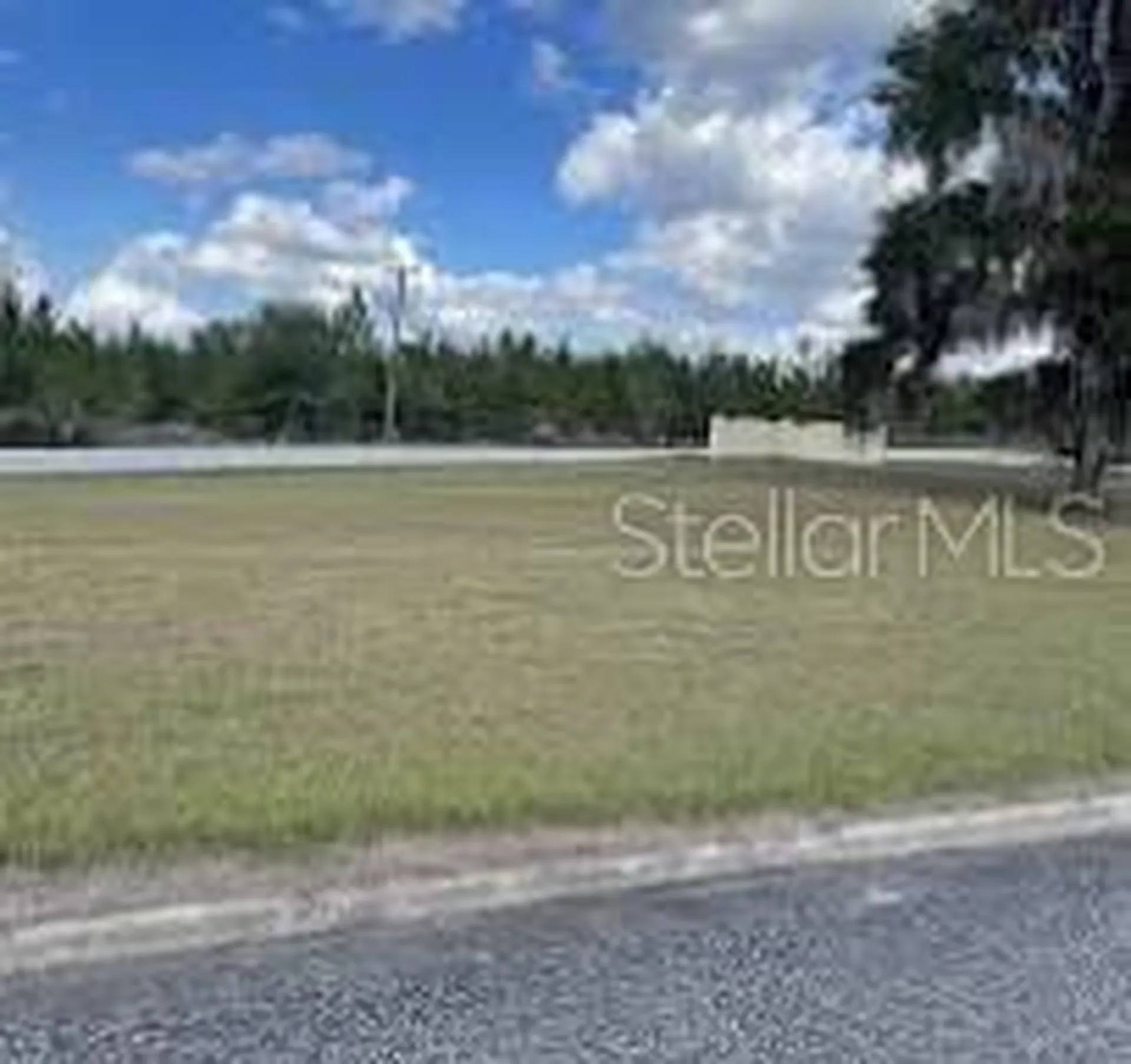 100 Siesta Circle Welaka FL 32193