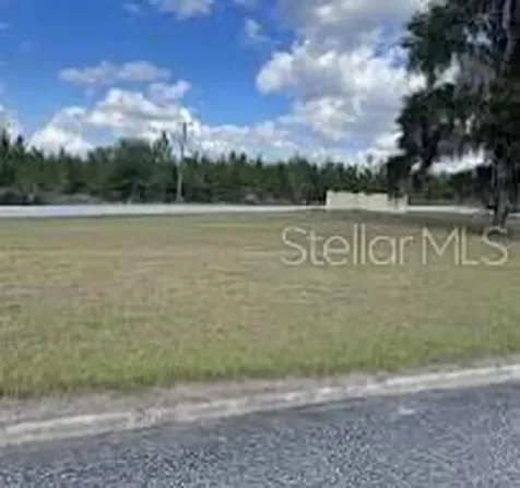 100 Siesta Circle Welaka FL 32193
