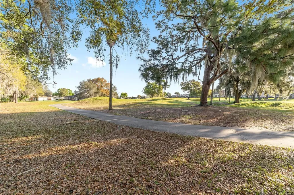 8723 SE 130th Loop Summerfield FL 34491