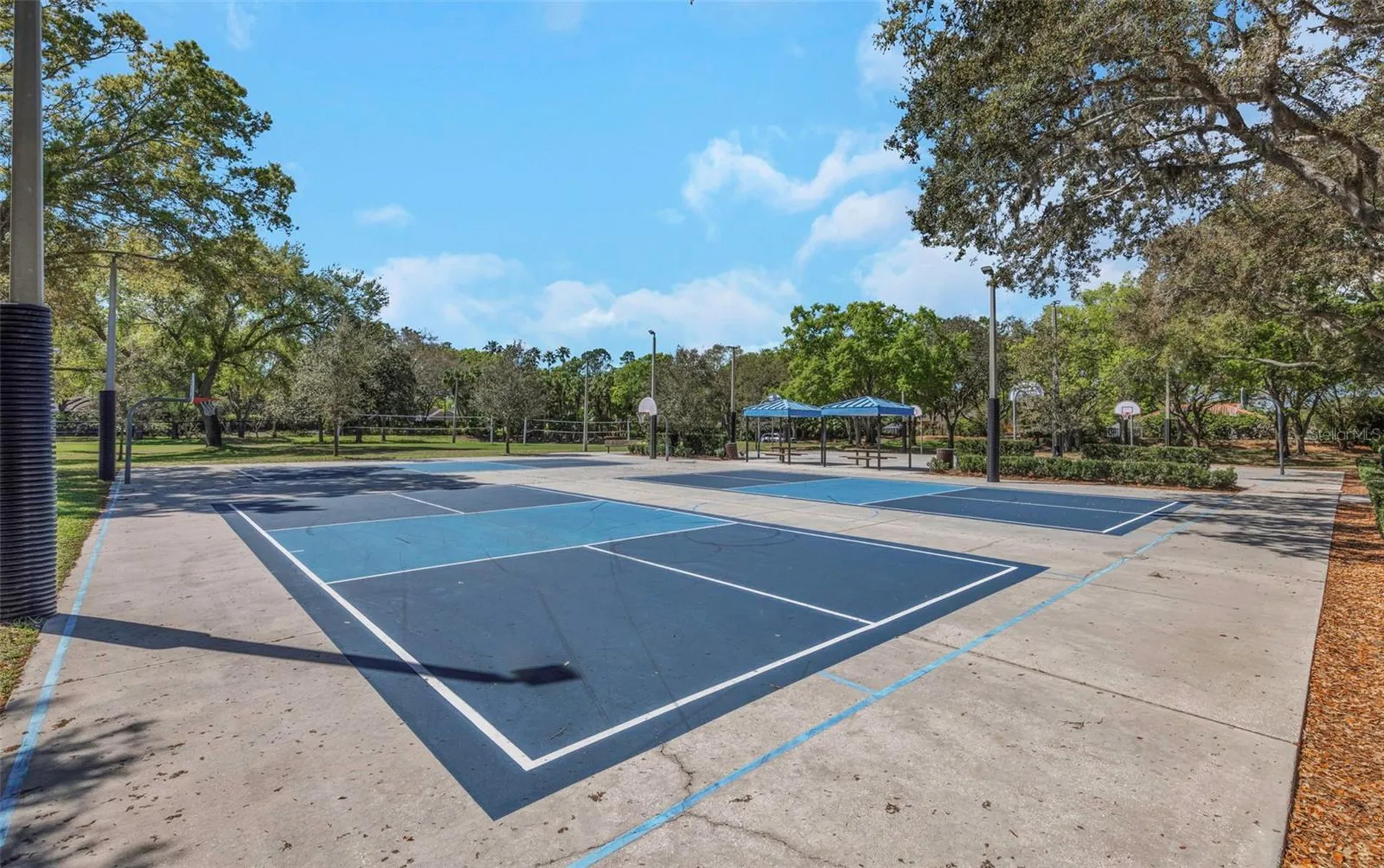 3687 Janus Way Palm Harbor FL 34685