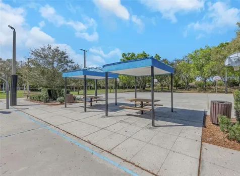3687 Janus Way Palm Harbor FL 34685