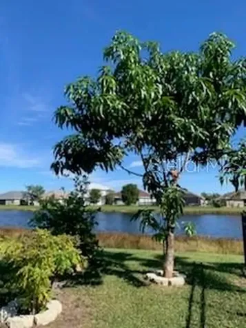 9975 Bishop Creek Way Punta Gorda FL 33950