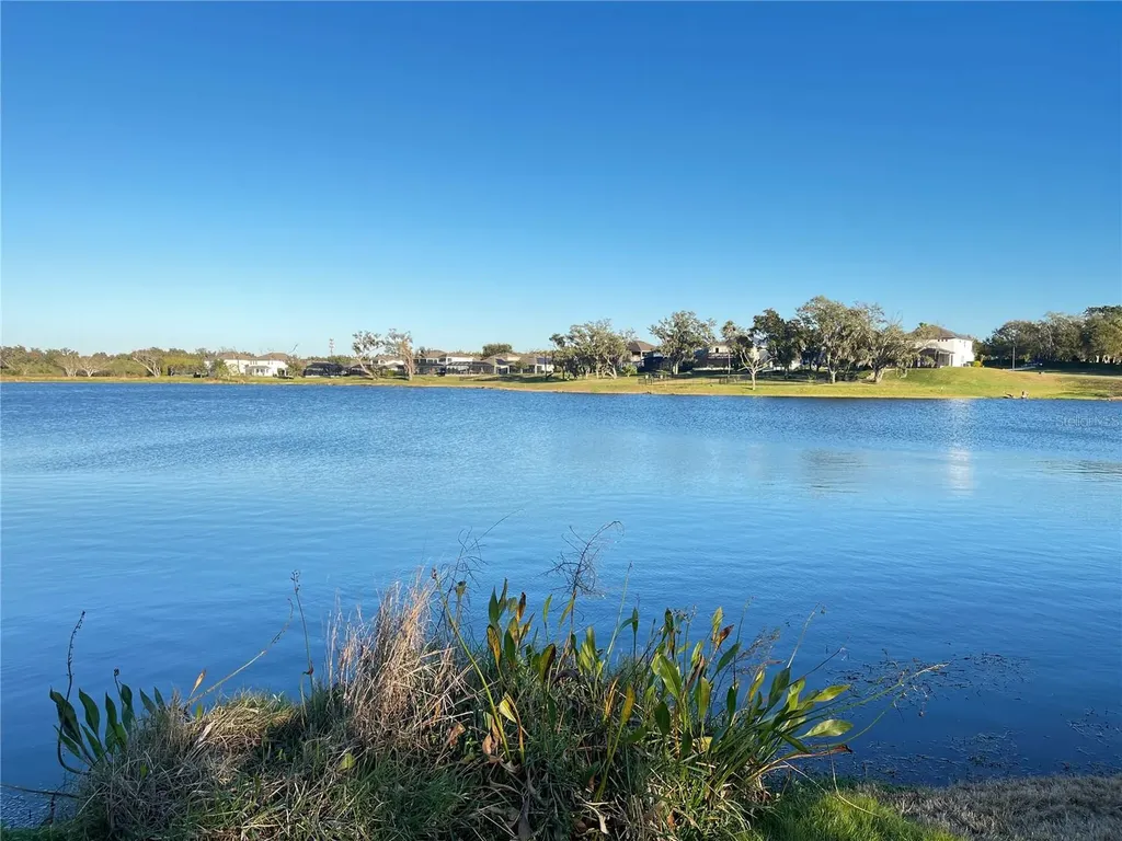 15195 Lake Claire Overlook Drive Winter Garden FL 34787