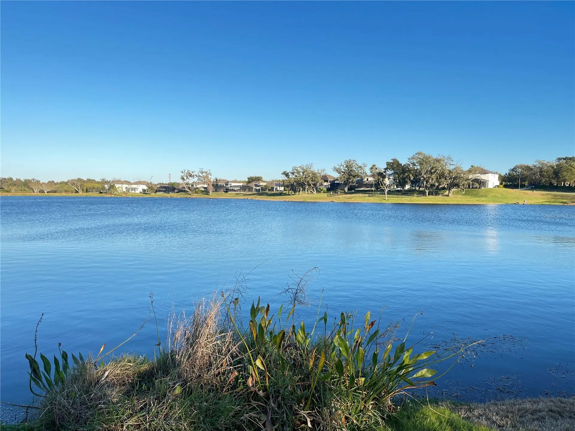 15195 Lake Claire Overlook Drive Winter Garden FL 34787