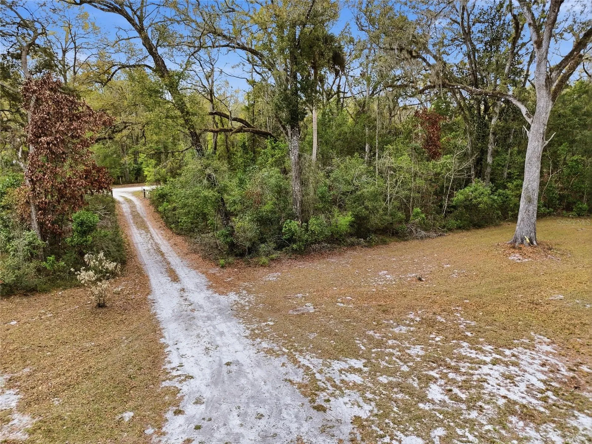 167 NE 212th Avenue Old Town FL 32680