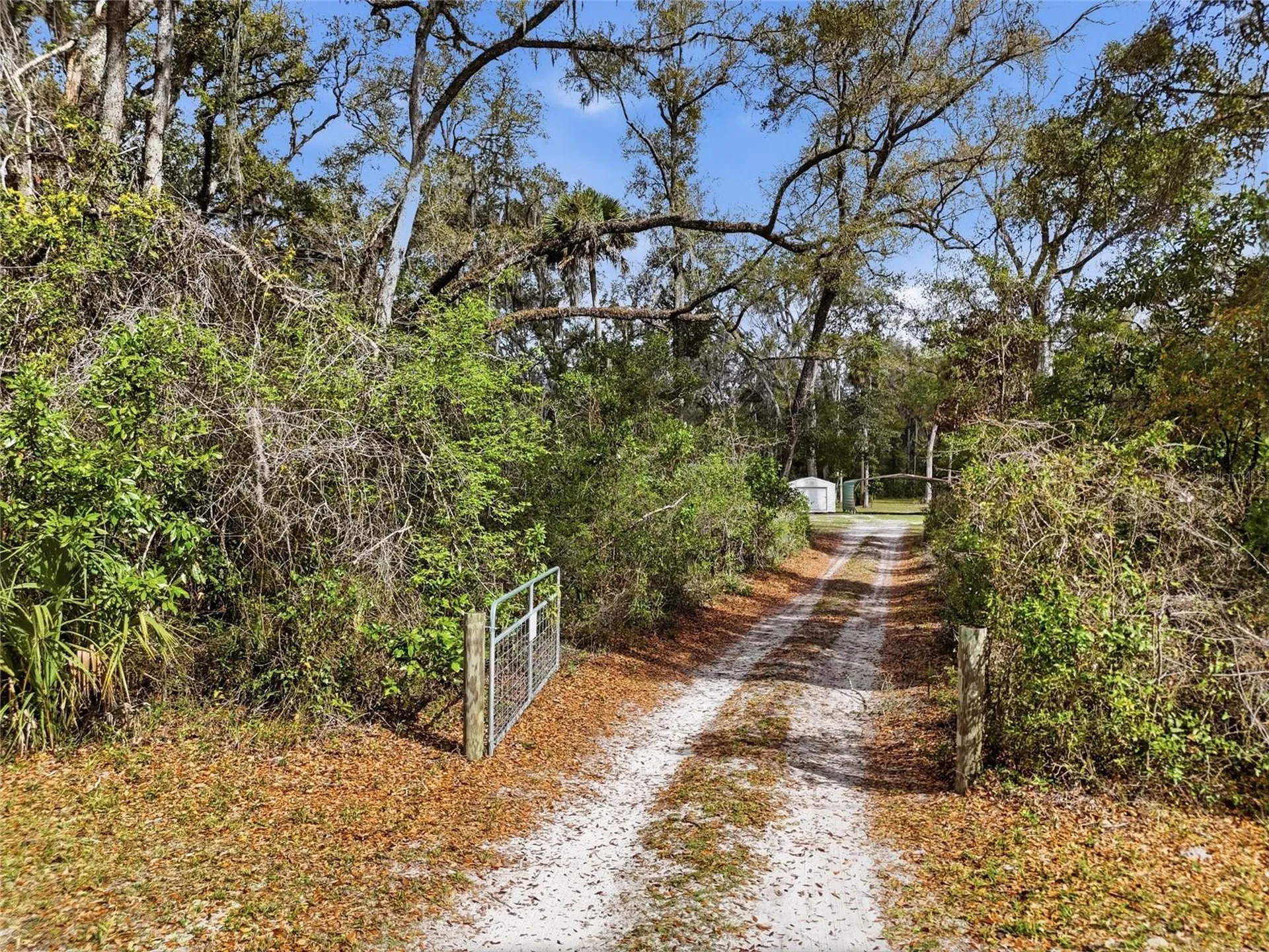 167 NE 212th Avenue Old Town FL 32680