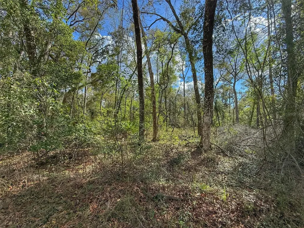 Tbd SW 14th Place Bell FL 32619