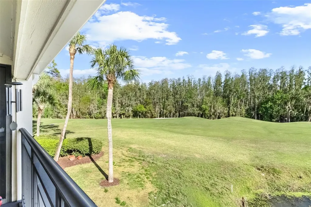 29300 Bay Hollow Drive Wesley Chapel FL 33543