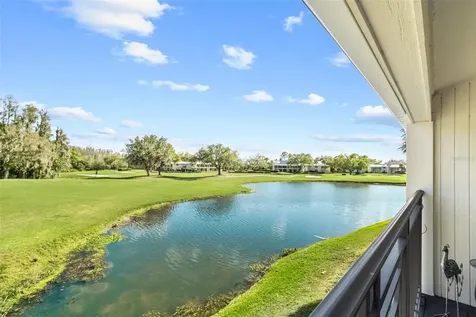29300 Bay Hollow Drive Wesley Chapel FL 33543