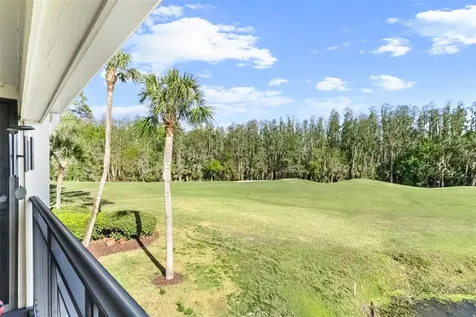 29300 Bay Hollow Drive Wesley Chapel FL 33543